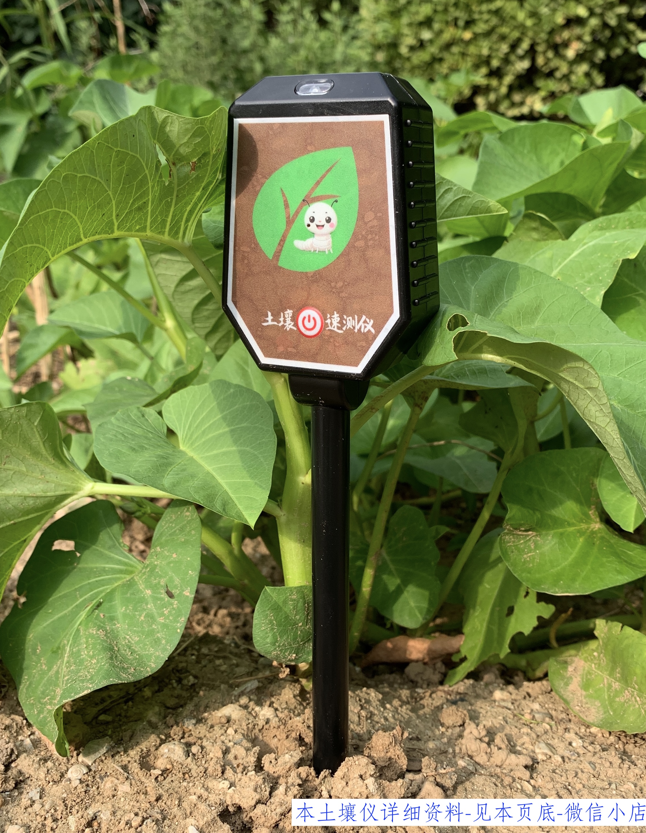 pH,EC,水分速测