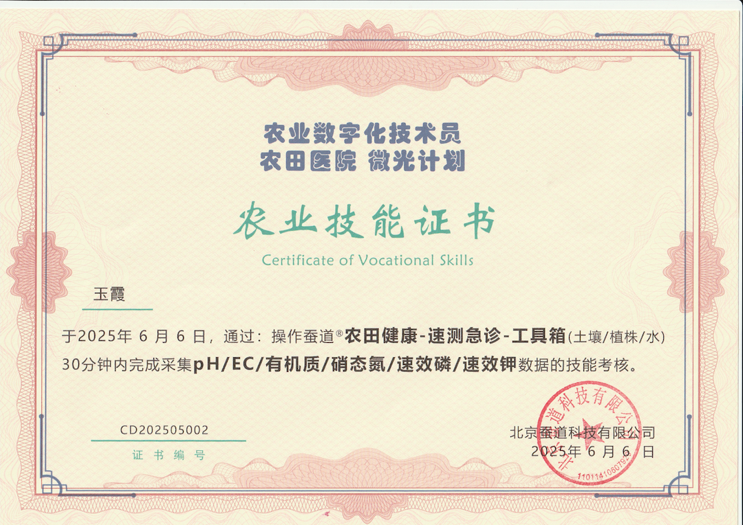 培训认证照片